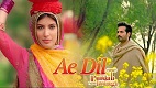 Ae Dil Punjab Nahi Jaungi Song Video